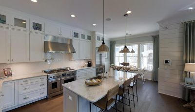 Stonoview – Model Home 3D Model