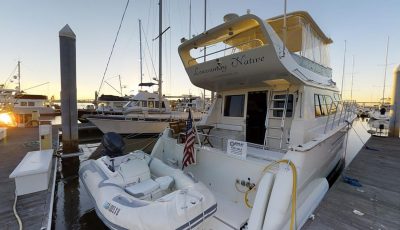 49′ Motor Yacht 3D Model