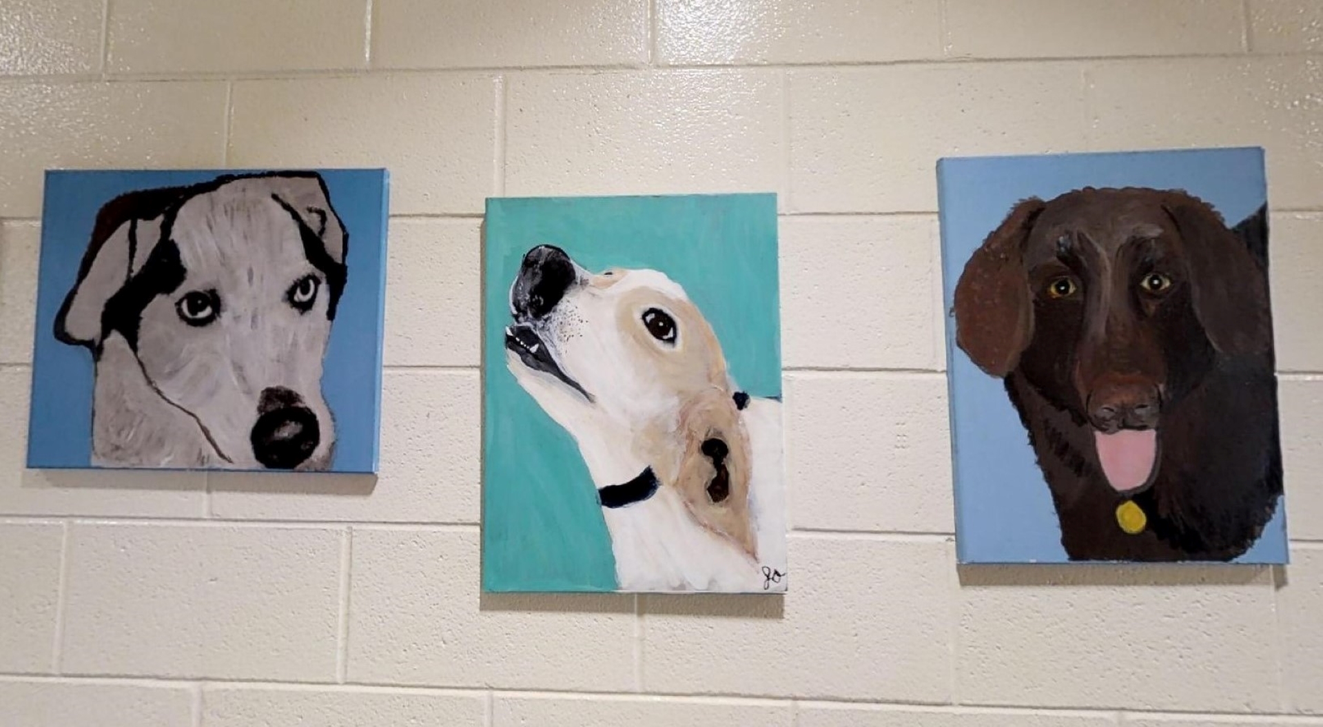 Pet Helpers 3D Tour