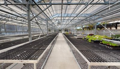 TTC – Greenhouse 3D Model